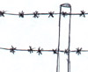 Tetano